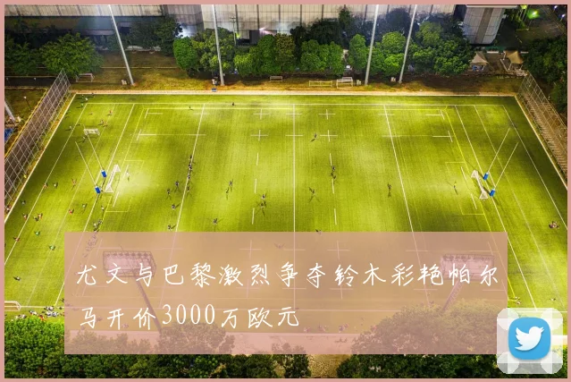 尤文与巴黎激烈争夺铃木彩艳帕尔马开价3000万欧元