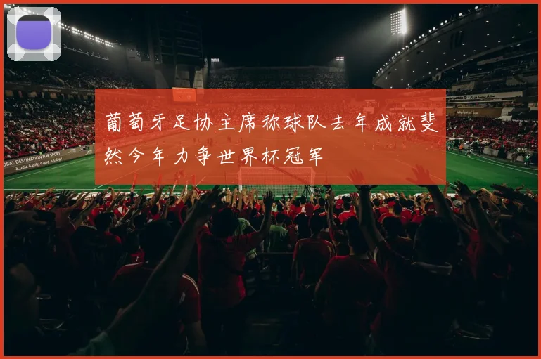葡萄牙足协主席称球队去年成就斐然今年力争世界杯冠军